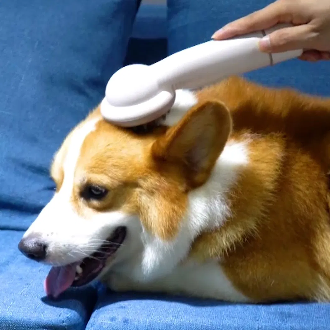 Multi-Function Pet Hair Remover Grooming Machines Pet Grooming Hair Vacuum Cleaner